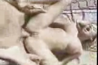 طلاب الكلية يمارسون الجنس الجماعي مع رجل أسود مدبلج سكسي
