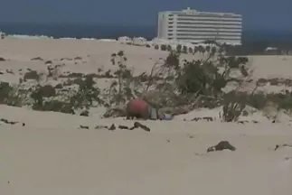 اثنين من المثليات الشابات بوشم الجسم يمارس افلام سكسي مترجم عربي الجنس مع بعضهما البعض بألسنة
